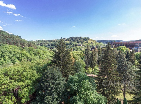 Санаторий «Узбекистан» 3* Кисловодск - 28