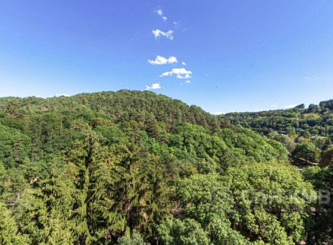 Санаторий «Узбекистан» 3* Кисловодск - 29