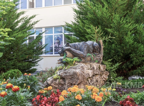 Санаторий «Узбекистан» 3* Кисловодск - 10