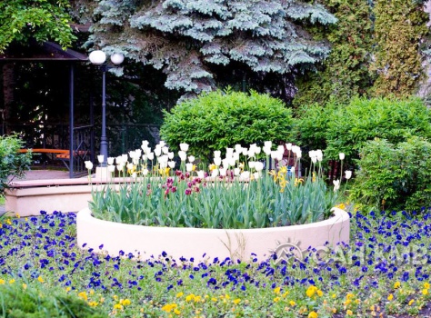 Санаторий «Долина Нарзанов» 4* Ессентуки - 17