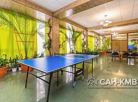 Пансионат с лечением «Искра» 2* Пятигорск - 22