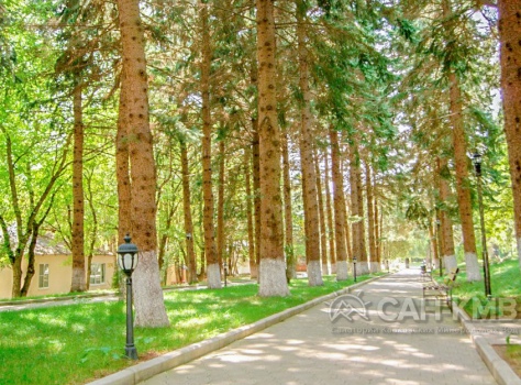 Пансионат с лечением «Геолог Казахстана» —* Железноводск - 13