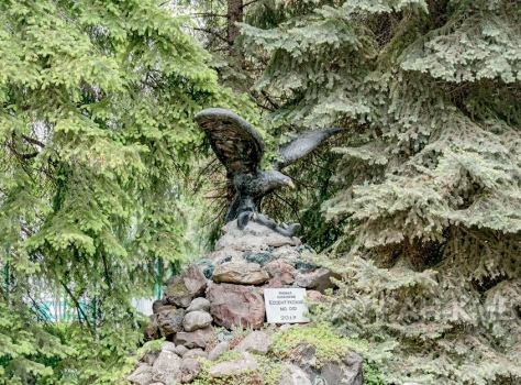 Центральный Военный Санаторий 3* Ессентуки - 9