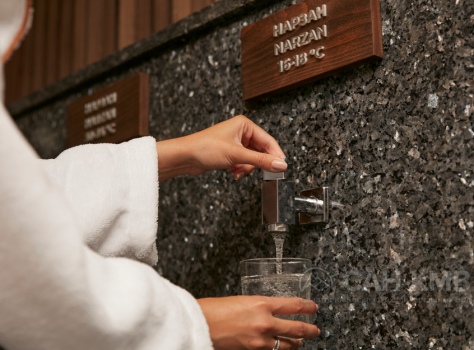 Санаторий Майерведа / Mayrveda 5* Кисловодск - 21