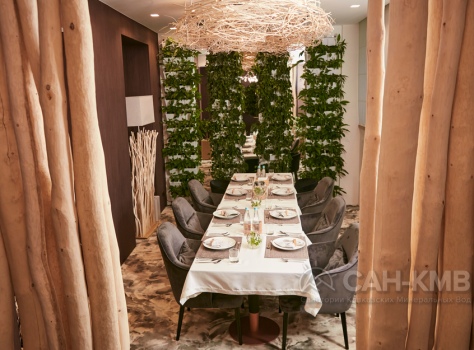 Санаторий Майерведа / Mayrveda 5* Кисловодск - 63