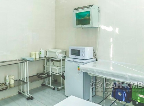 Клинический санаторий «Элорма» 2* Кисловодск - 36