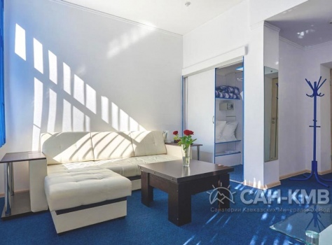 Клинический санаторий «Элорма» 2* Кисловодск - 37