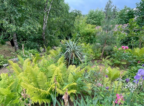 Пансионат Орлиное Гнездо —* Кисловодск - 12