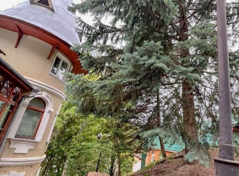 Пансионат Орлиное Гнездо —* Кисловодск - 7