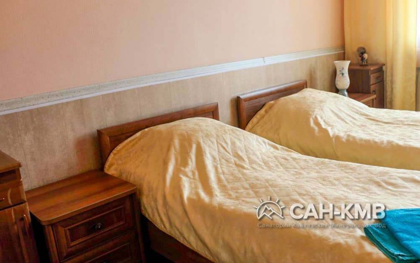 2 местный стандарт №207 *  - 2