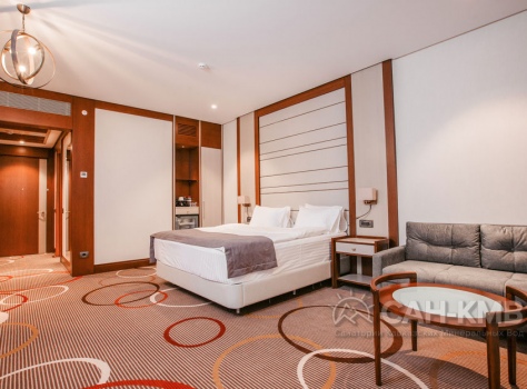 Санаторий Источник 5* Железноводск - 101