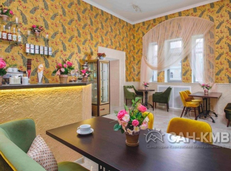 Санаторий «Главные Нарзанные Ванны» 5* Кисловодск - 32