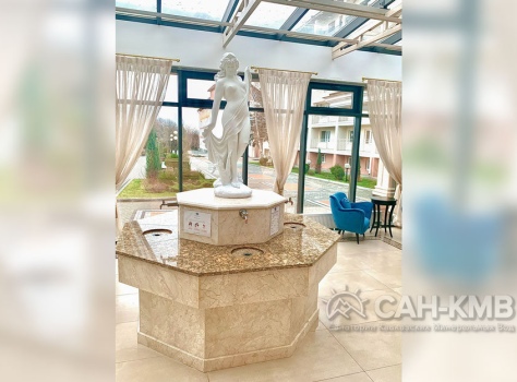 Санаторий «Елизавета - Минеральные Воды» 4* Железноводск - 101