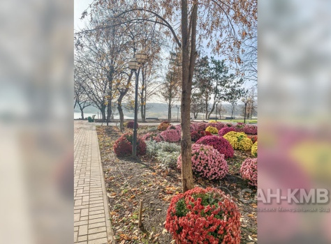 Санаторий «Елизавета - Минеральные Воды» 4* Железноводск - 59