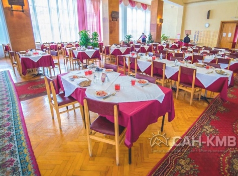 Санаторий «им. Димитрова» 2* Кисловодск - 43