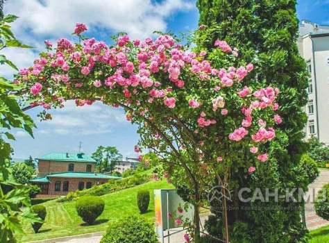 Санаторий «Кругозор» —* Кисловодск - 13