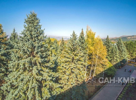 Санаторий «Пикет» 2* Кисловодск - 12