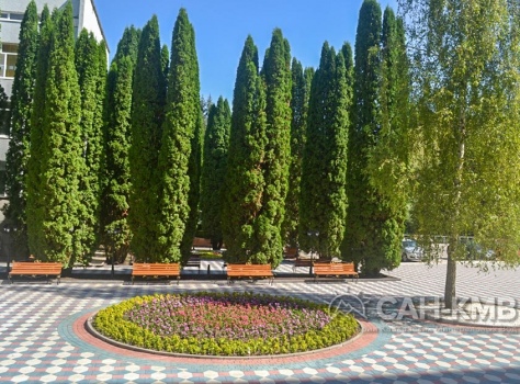 Санаторий «Родник» 3* Кисловодск - 22