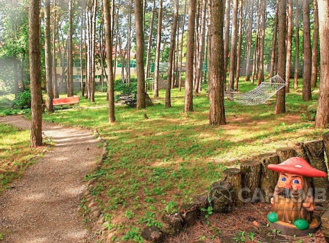 Санаторий Лесной 3* Железноводск - 12