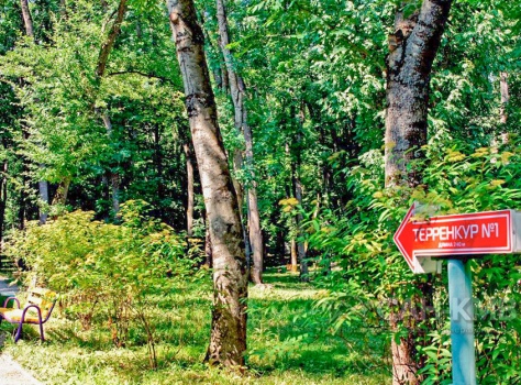 Санаторий Лесной 3* Железноводск - 15