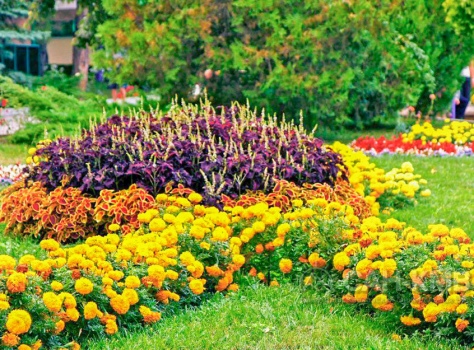 Санаторий Лесной 3* Железноводск - 16