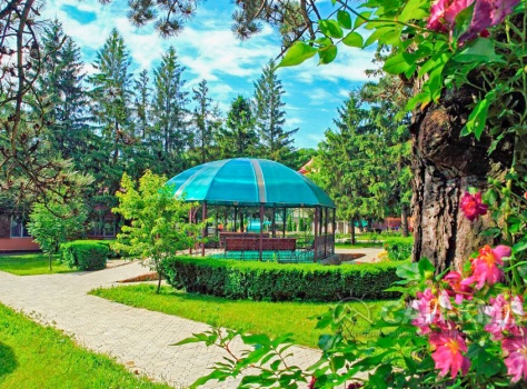 Санаторий Лесной 3* Железноводск - 22