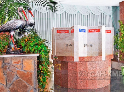 Санаторий Лесной 3* Железноводск - 26