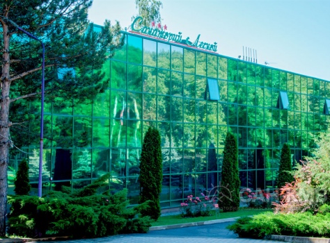 Санаторий Лесной 3* Железноводск - 4