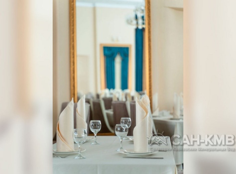 Санаторий Дворец Нарзанов 5* Кисловодск - 20