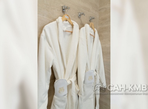 Санаторий Дворец Нарзанов 5* Кисловодск - 59