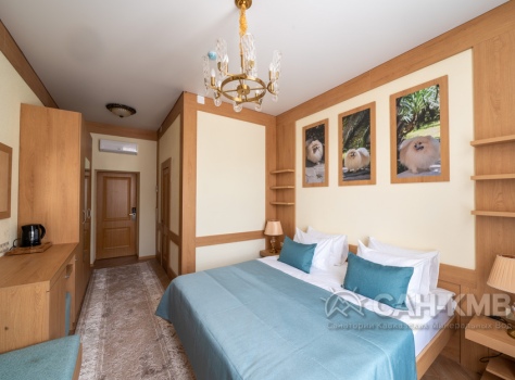 Санаторий Дворец Нарзанов 5* Кисловодск - 62