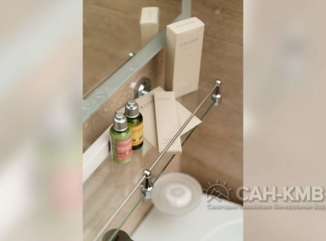 Санаторий Дворец Нарзанов 5* Кисловодск - 64