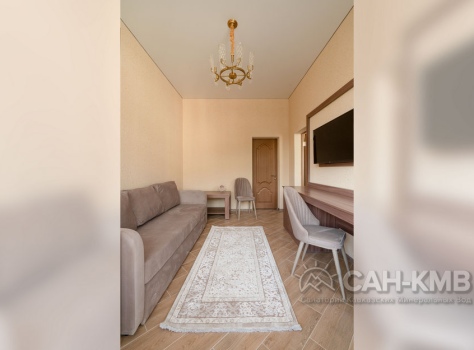 Санаторий Дворец Нарзанов 5* Кисловодск - 73