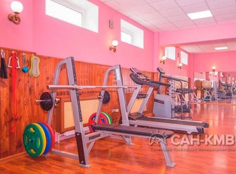 Санаторий «Долина Нарзанов» 4* Кисловодск - 29