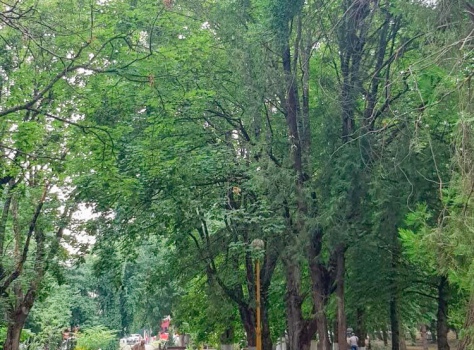 Санаторий «Лесная Поляна» 2* Пятигорск - 12