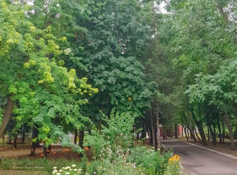 Санаторий «Лесная Поляна» 2* Пятигорск - 14