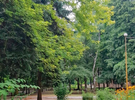 Санаторий «Лесная Поляна» 2* Пятигорск - 19