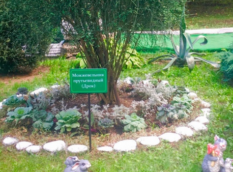 Санаторий «Лесная Поляна» 2* Пятигорск - 29