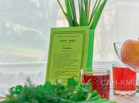 Санаторий «Лесная Поляна» 2* Пятигорск - 38