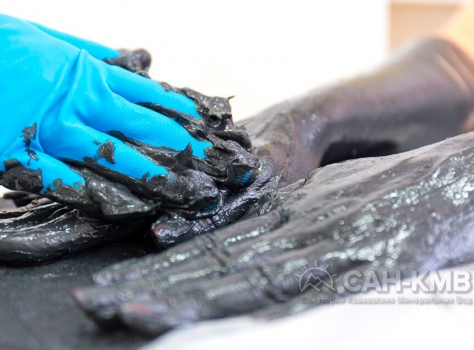 Санаторий «Лесная Поляна» 2* Пятигорск - 79