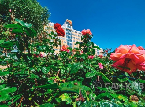 Санаторий «Солнечный» 3* Кисловодск - 19