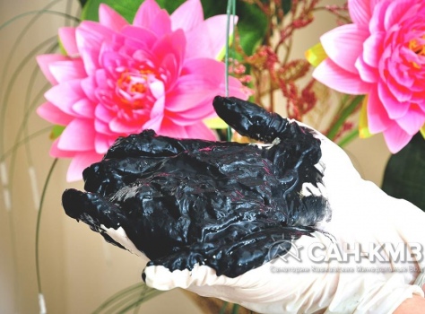 Санаторий «Солнечный» 3* Кисловодск - 45