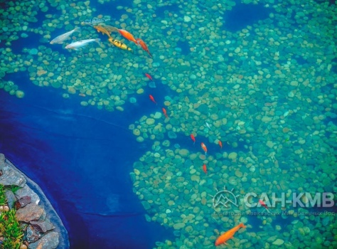 Санаторий «Заря» 4* Кисловодск - 178