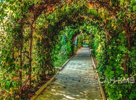 Санаторий «Вилла Арнест» —* Кисловодск - 36