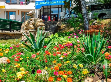 Санаторий «им. Лермонтова» 2* Пятигорск - 18