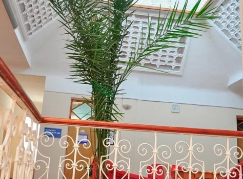 Санаторий «им. Лермонтова» 2* Пятигорск - 43