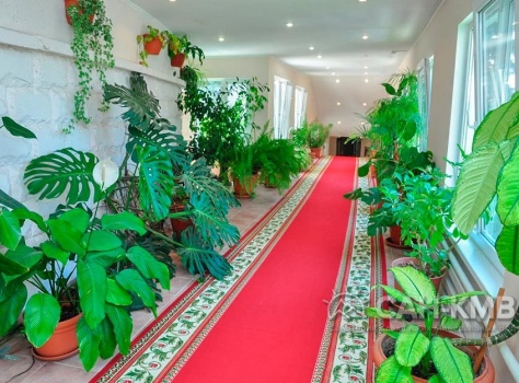 Санаторий «им. Лермонтова» 2* Пятигорск - 44