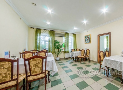 Пансионат Шаляпин 4* Кисловодск - 29