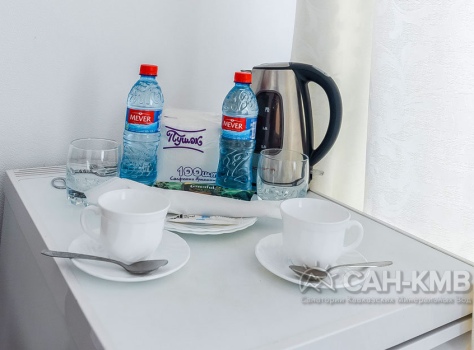 Пансионат Шаляпин 4* Кисловодск - 62