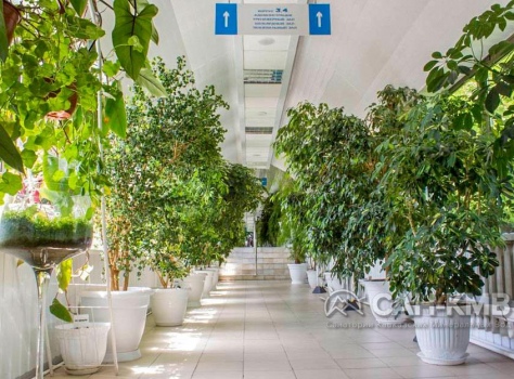 Санаторий Родник 3* Пятигорск - 26